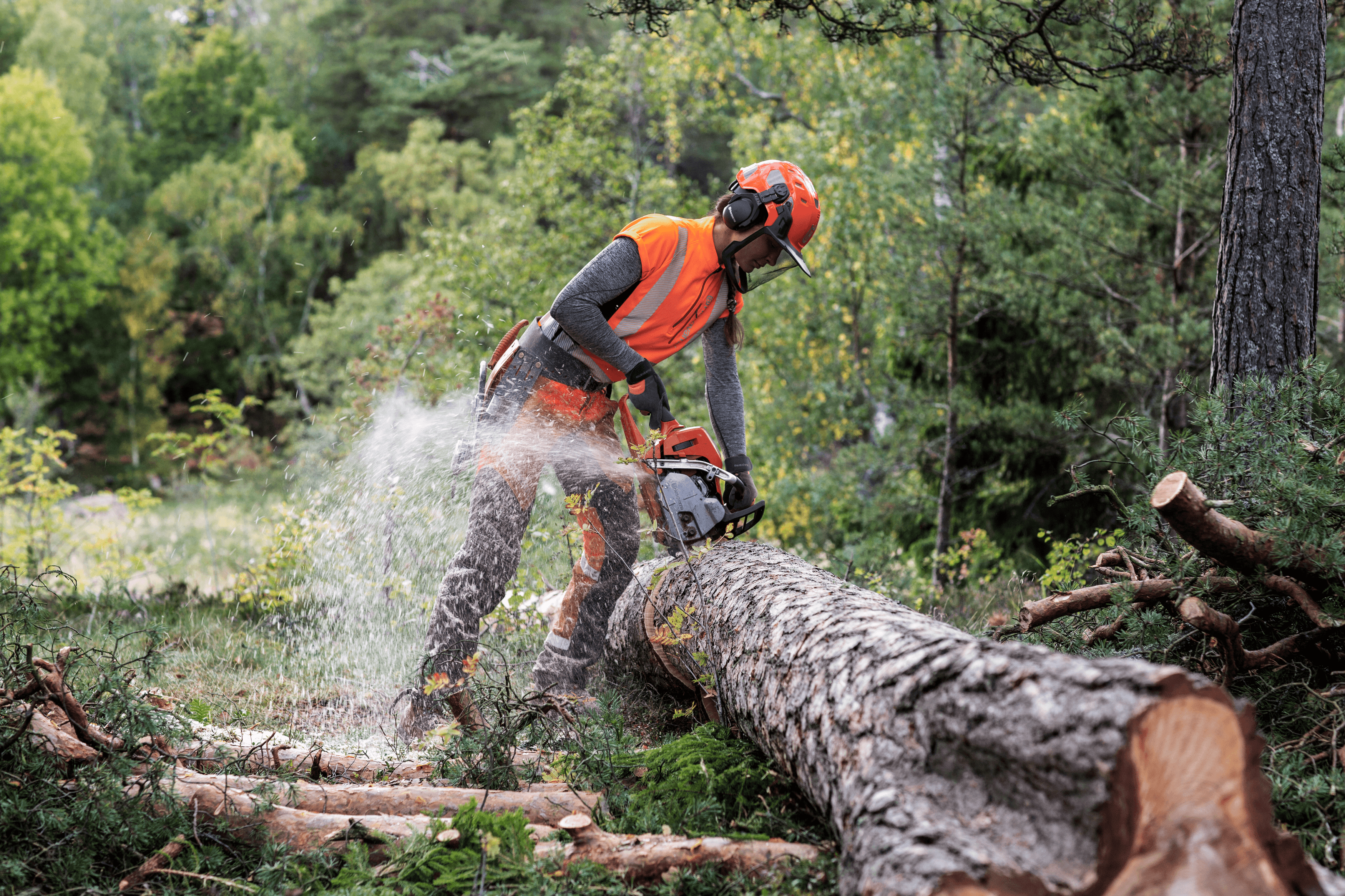 Man shaping with Shrub Shear